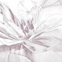 A drawing of a flower with a white background vector