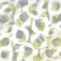 A pattern of yellow and white flowers on a white background vector