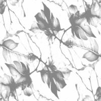 A black and white pattern with leaves vector