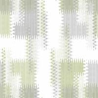 A green and white checkered pattern with zigzag lines vector