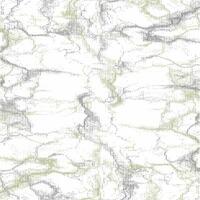 A green and white wallpaper with a pattern vector