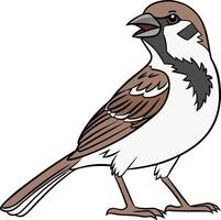 Sparrow with a cheerful expression vector