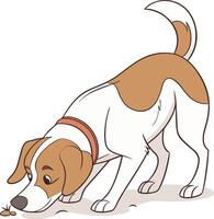 Dog with a keen nose and alert expression focuses on something interesting on the ground vector