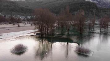 Thin layer of ice covering Formigal lake in Huesca, Spain, reflecting leafless trees and snowy banks in a cold winter day video