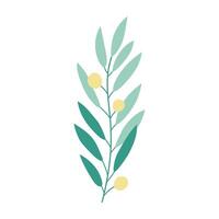 a green leaf with yellow berries on it vector