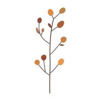 autumn leaves illustration vector