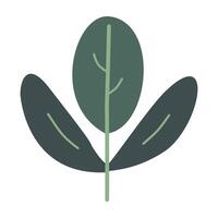 green leaf on a white background vector