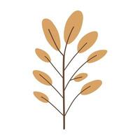 a branch with leaves on it is shown vector