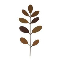 a brown and white plant with leaves vector