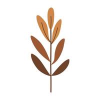 a brown and tan plant with leaves on it vector