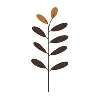 brown and black plant with leaves vector