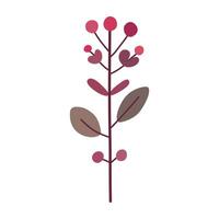 a plant, leaves and berries on a white background vector