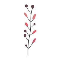 stylized illustration of a branch with berries vector