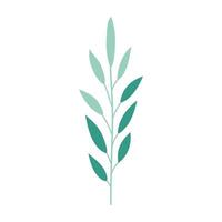 a green leaf on a white background vector