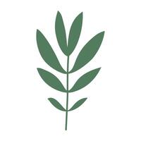 leaf icon green on a white background vector