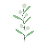 a green plant with leaves and berries on it vector