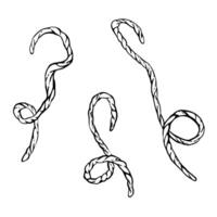 Looped Threads, yarn for needlework, embroidery, knitting set Rope, twine or twisted canvas thread. Black line art hand drawing Illustration for hobby knitters product isolated from background vector