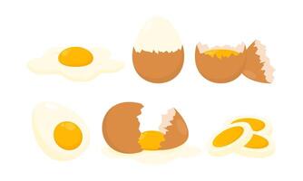 Set of Different Cooked Eggs and Shell Cartoon Illustration Isolated on White Background vector
