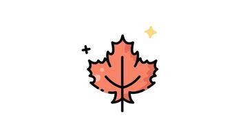 Autumn maple Leaf Animation icon design, maple leaf motion graphic design video