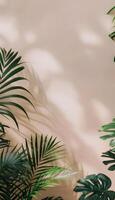 Palm tree casts shadow on wall, a terrestrial plant in the landscape photo