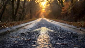 Road with arrow Asphalt surface, Wood, Grass, Forest landscape photo