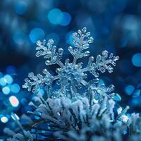 A snowflake rests on a snowy twig atop a tree branch photo