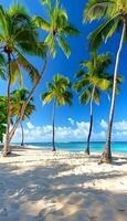 Sunny coastal beach with palm trees under a clear blue sky photo