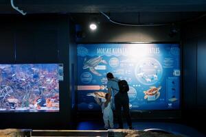 Mother and little girl look at an illuminated sign with sea turtles. Back view photo