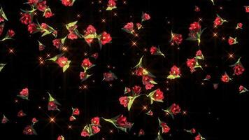 Tulip Flower Particle Background video