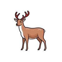 A deer with antlers on a white background vector