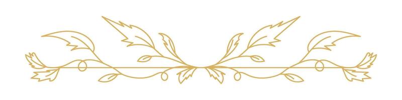 Elegant Ornate Divider with Swirl Border and Classic Design Element. vector