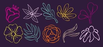 A set of colorful flowers drawn in a stylized way vector