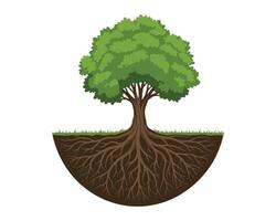 tree set realistic illustration design vector