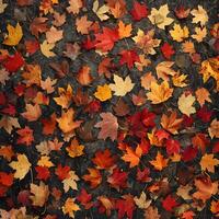 A pile of brown Deciduous leaves, resembling a pattern on the ground photo