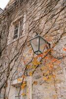 Lantern hangs on an old stone facade of a house woven with ivy branches with yellow leaves photo