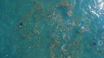 Plastic pollution floating on ocean surface. Aerial view of plastic trash in Bali video
