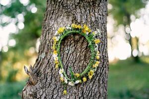 Wreath of yellow dandelions hangs on a tree trunk photo