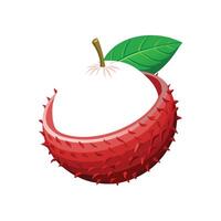 Nutritious Rambutan Mash on White Background vector