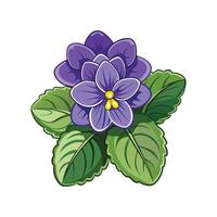 Charming Saintpaulia Plant Artwork vector