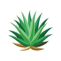 Charming Aloe Brevifolia Design vector