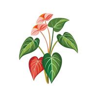 Stylish Anthurium Clarinervium Design vector