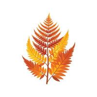 Stylish Autumn Fern Plant Illustration vector