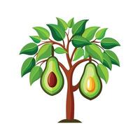 Gorgeous Avocado Tree Plant Design vector