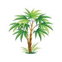 Graceful Chamaedorea Bamboo Palm Design vector