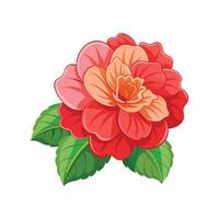 Charming Begonia Plant in Bloom vector