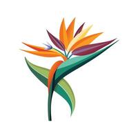 Charming Bird of Paradise in Full Bloom vector