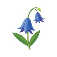 Vibrant NonScripta Bluebell Plant vector
