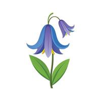 Stunning NonScripta Bluebell Plant vector