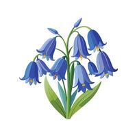 Charming Bluebells in the Garden vector