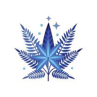 Nutritious Blue Star Fern for Healthy Living. vector
